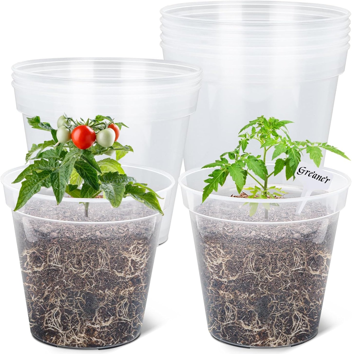 Clear Nursery Pots for Plants - 9 Inch Durable Plastic Pots
