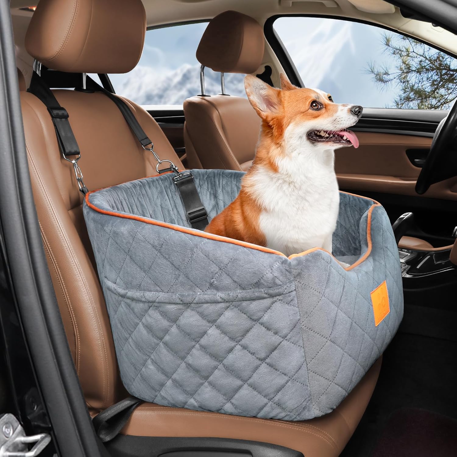 Elevated Dog Car Seat for Small Dogs with Memory Foam Comfort