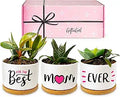 GIFTAGIRL Birthday Gifts for Mom - Beautiful Plant Pots