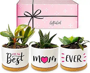 GIFTAGIRL Birthday Gifts for Mom - Beautiful Plant Pots