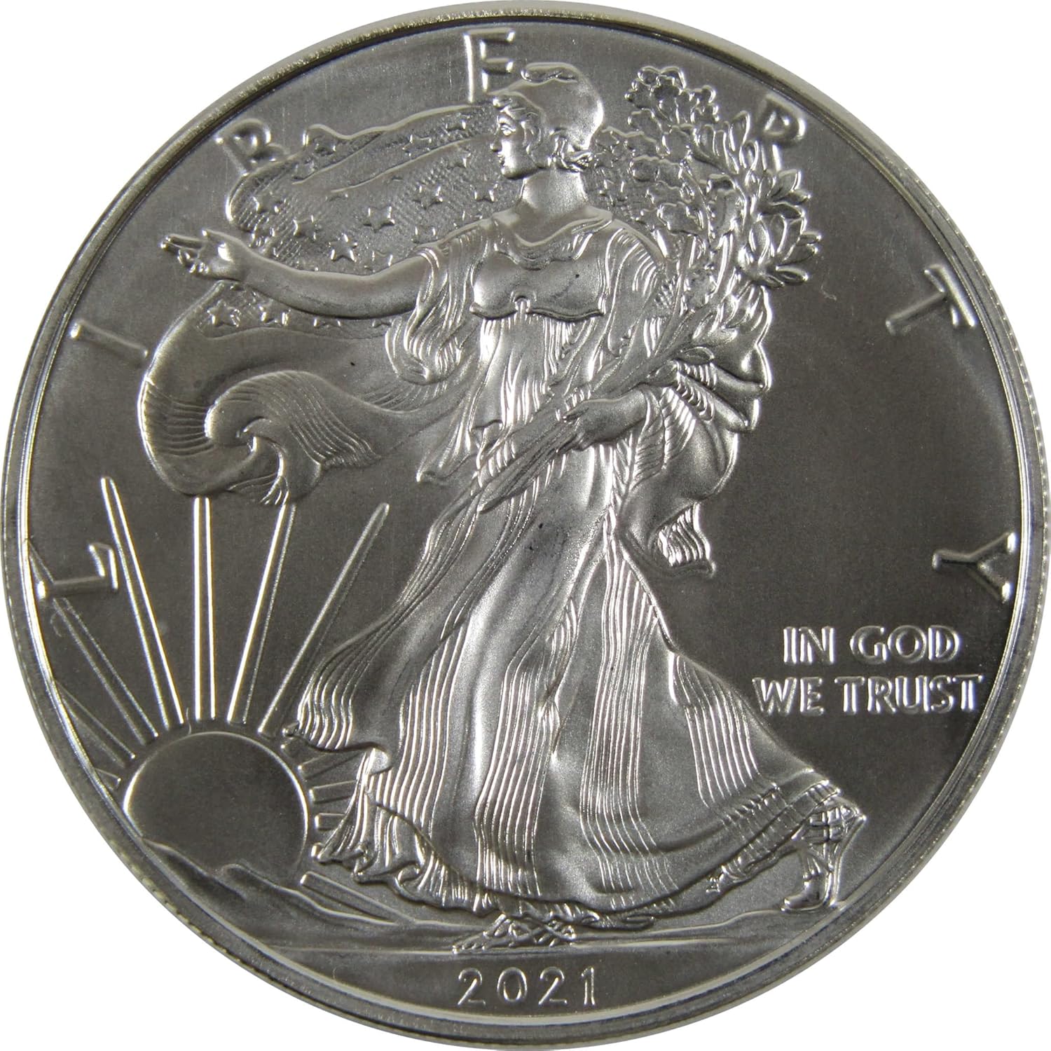 2021 Type 1 American Silver Eagle Uncirculated Bullion Coin Review