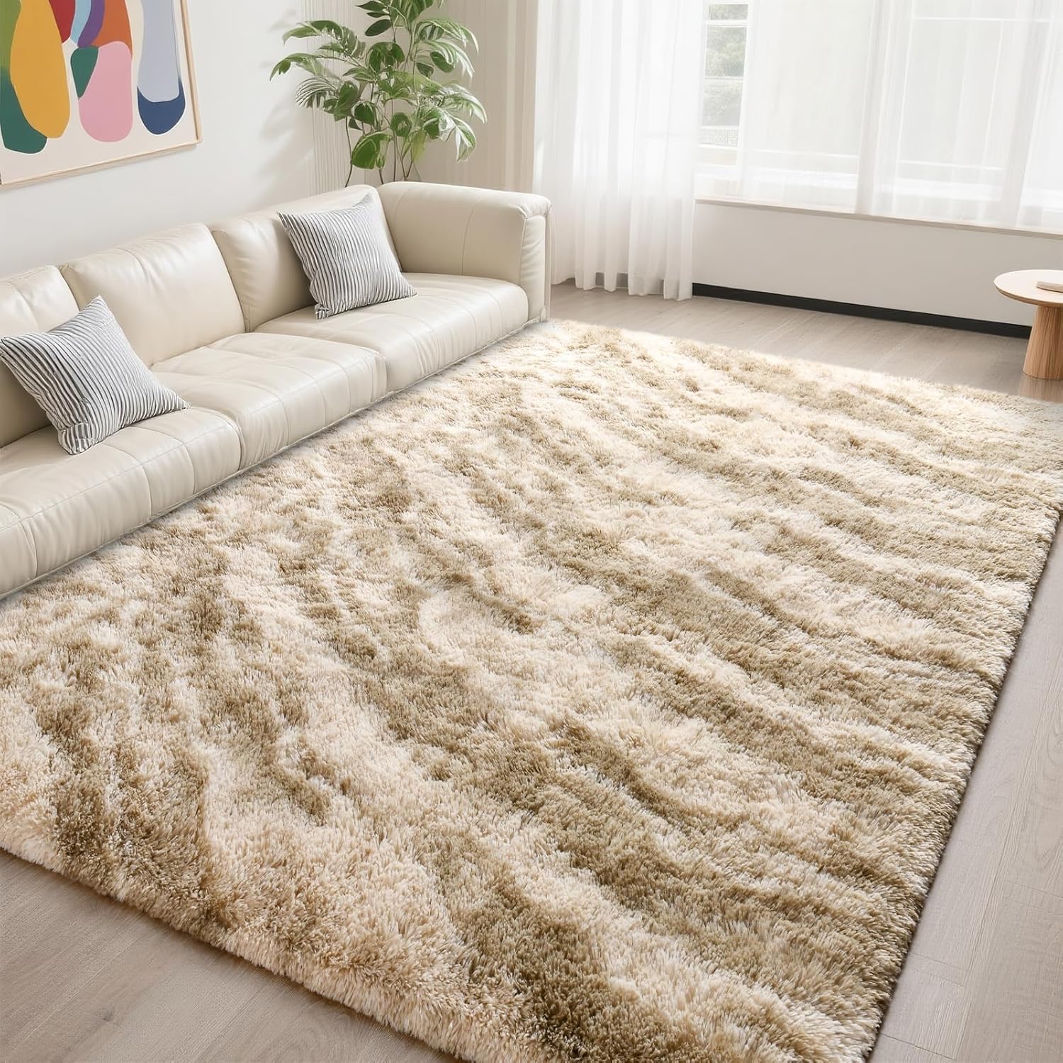 DweIke Large 6x9 Fluffy Shag Rug for Living Room and Bedroom