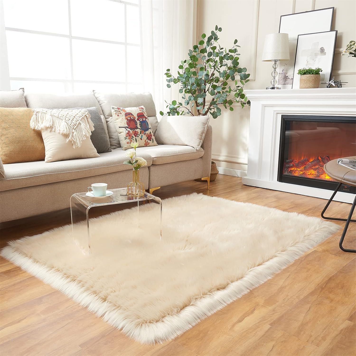 EasyJoy Ultra Soft Fluffy Shaggy Area Rug for Living Room
