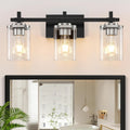 3-Lights Black and Brushed Nickel Bathroom Light Fixtures - Modern