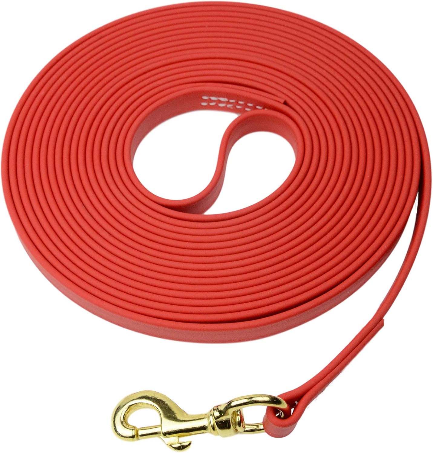 Biothane Waterproof All Weather Dog Leash with Brass Hardware