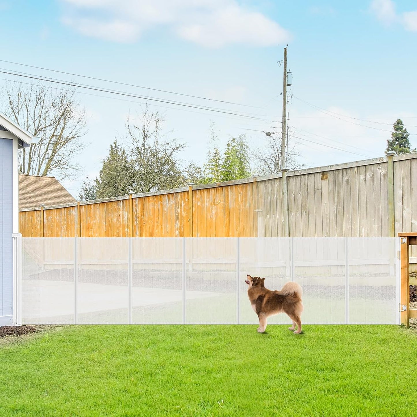 Reinforced 42 Inch Tall Retractable Baby Gate for Pets and Kids