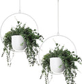 Hanging Planters 2 Pack - Modern Metal Wall and Ceiling Plant Hangers