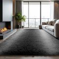 Zentavio Grey White Gradient Area Rugs for Living Room