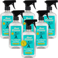 Aunt Fannie's All Purpose Household Cleaner for Every Surface