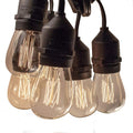 Hometown Evolution Edison 50 ft String Lights with 25 S14 Bulbs - Warm