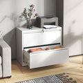 2 Drawer Lateral File Cabinet with Lock - Secure Heavy-Duty Storage