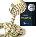 Handheld Shower Head with Hose and Brass Holder - Polished Brass
