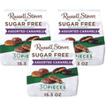 RUSSELL STOVER Sugarfree Assorted Caramels in Chocolate Candy - Guilt