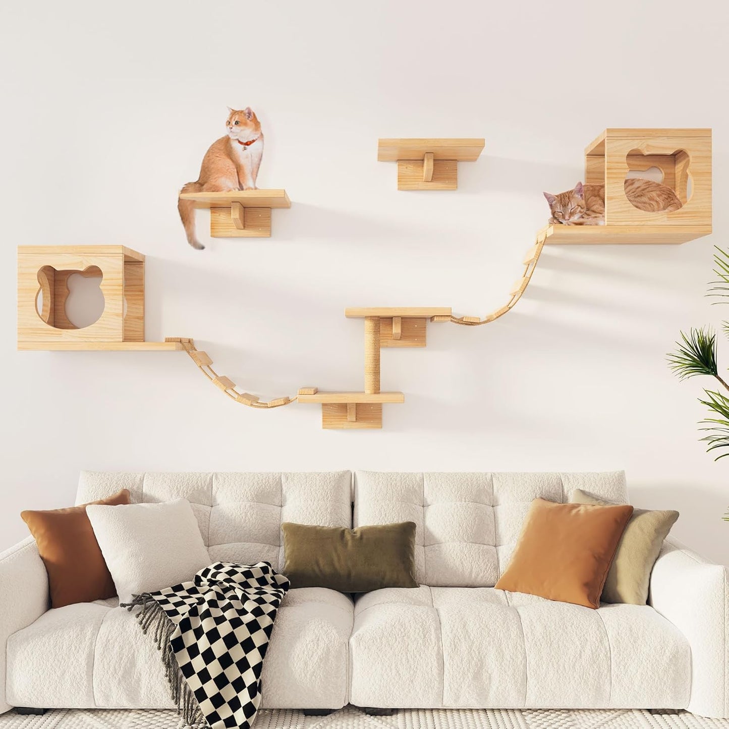 PETKABOO Cat Wall Shelves and Perches for Creative Spaces