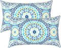 Outdoor/Indoor Lumbar Pillows Pack of 2 - Water Repellent Garden