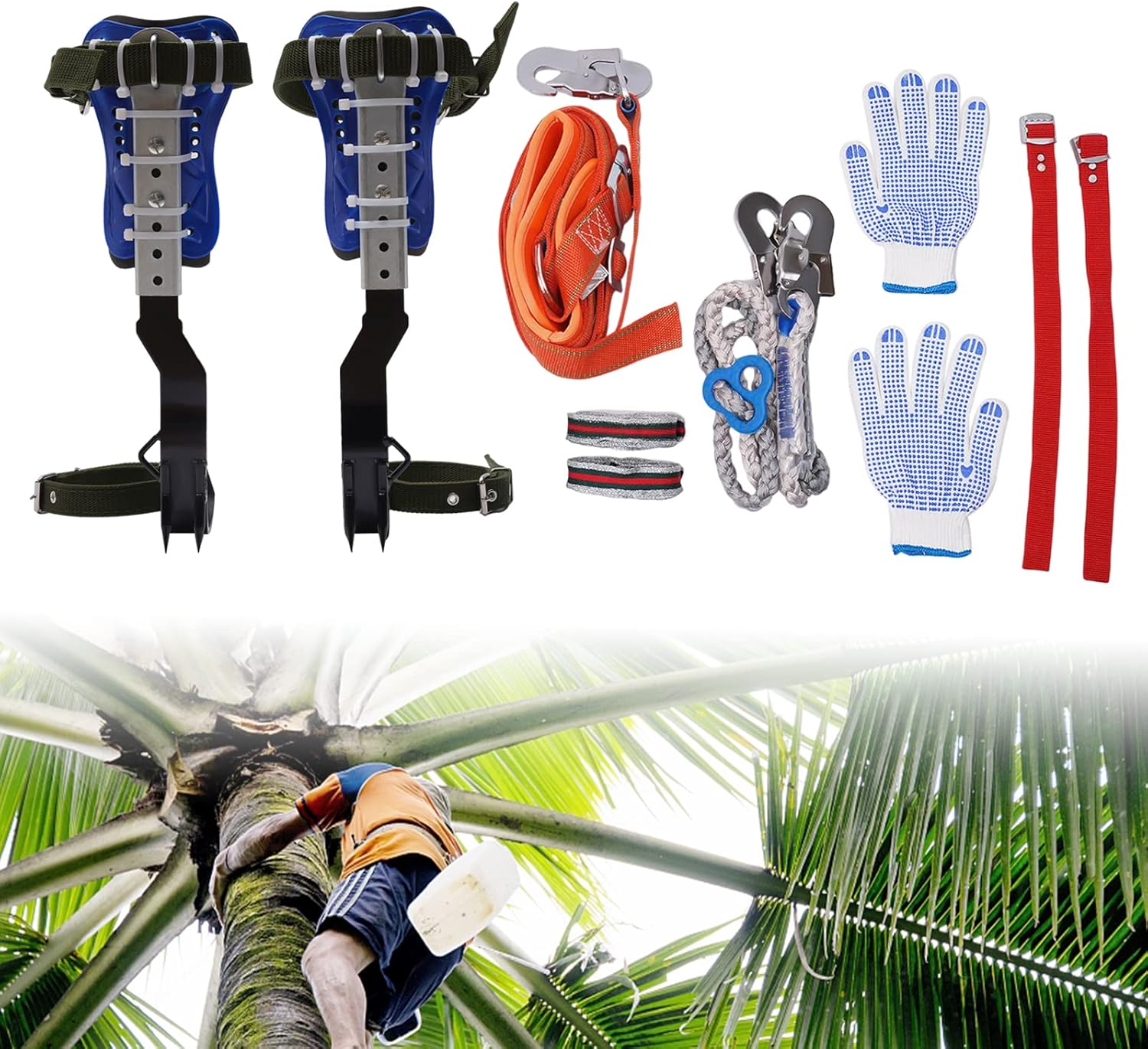 Strong Stainless Tree Climbing Set
