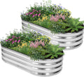 Galvanized Raised Garden Bed 4x2x1 ft (2 Pack) - Durable Metal Planter