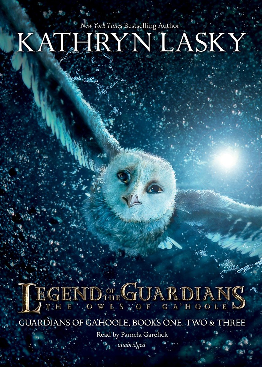 Leadership Skills to Master Rapid Change: Legend of the Guardians