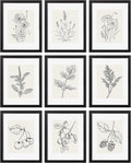 eletecpro 11x14 Picture Frames Set of 9 for Home Decor