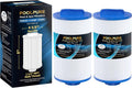 POOLPURE 4CH-21 Spa Filter Replacement 2 Pack - NSF Certified