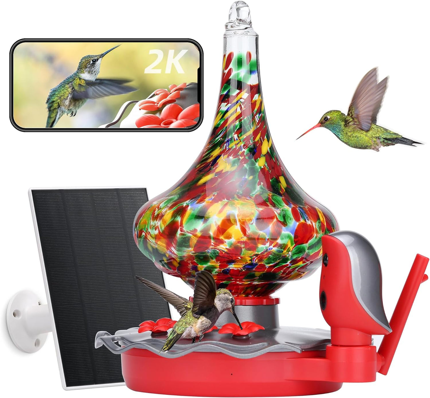 Smart Hummingbird Feeder with Camera for Bird Watching Fun