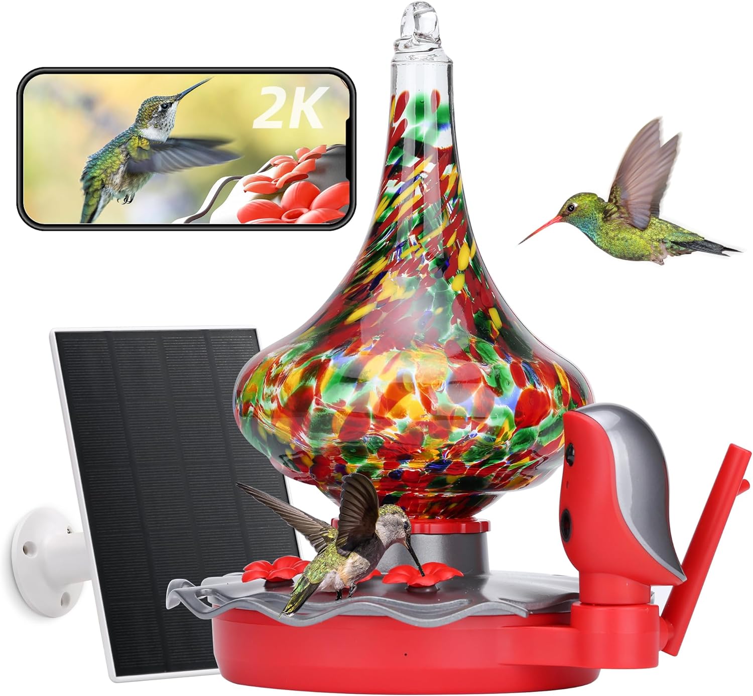 Smart Hummingbird Feeder with Camera for Bird Watching Fun