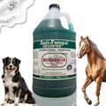Saratoga Antifungal Shampoo for Horses - Vet Strength 1 Gallon