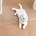 Uross Carpet Protector for Pets - Cat Doorway Scratch Guard