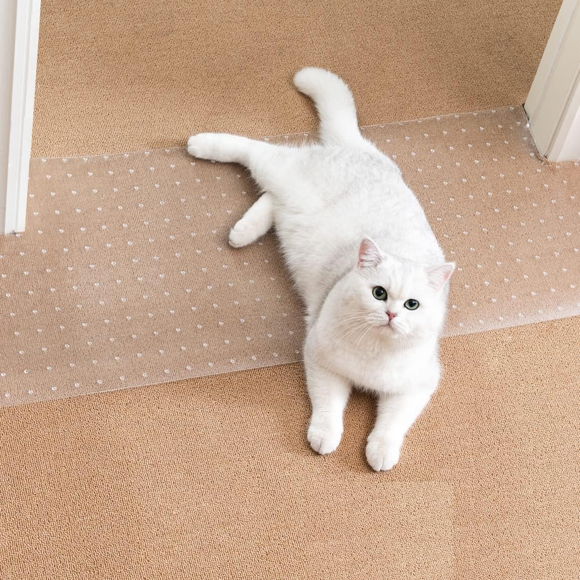 Uross Carpet Protector for Pets - Anti Scratch Mat for Doors