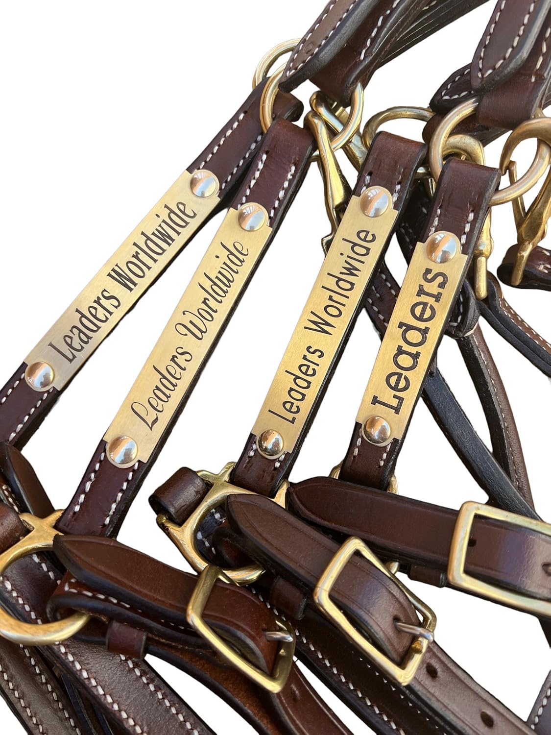 Leaders 3/4in Leather Halter for Horses with Custom Name Plate