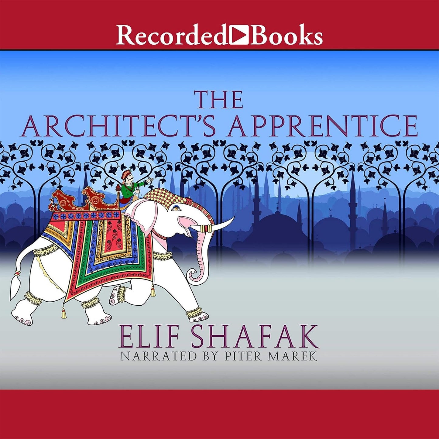The Architect's Apprentice by Elif Shafak: A Captivating Tale