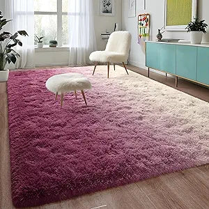 DweIke Extra Large Fluffy Area Rug for Modern Home Decor