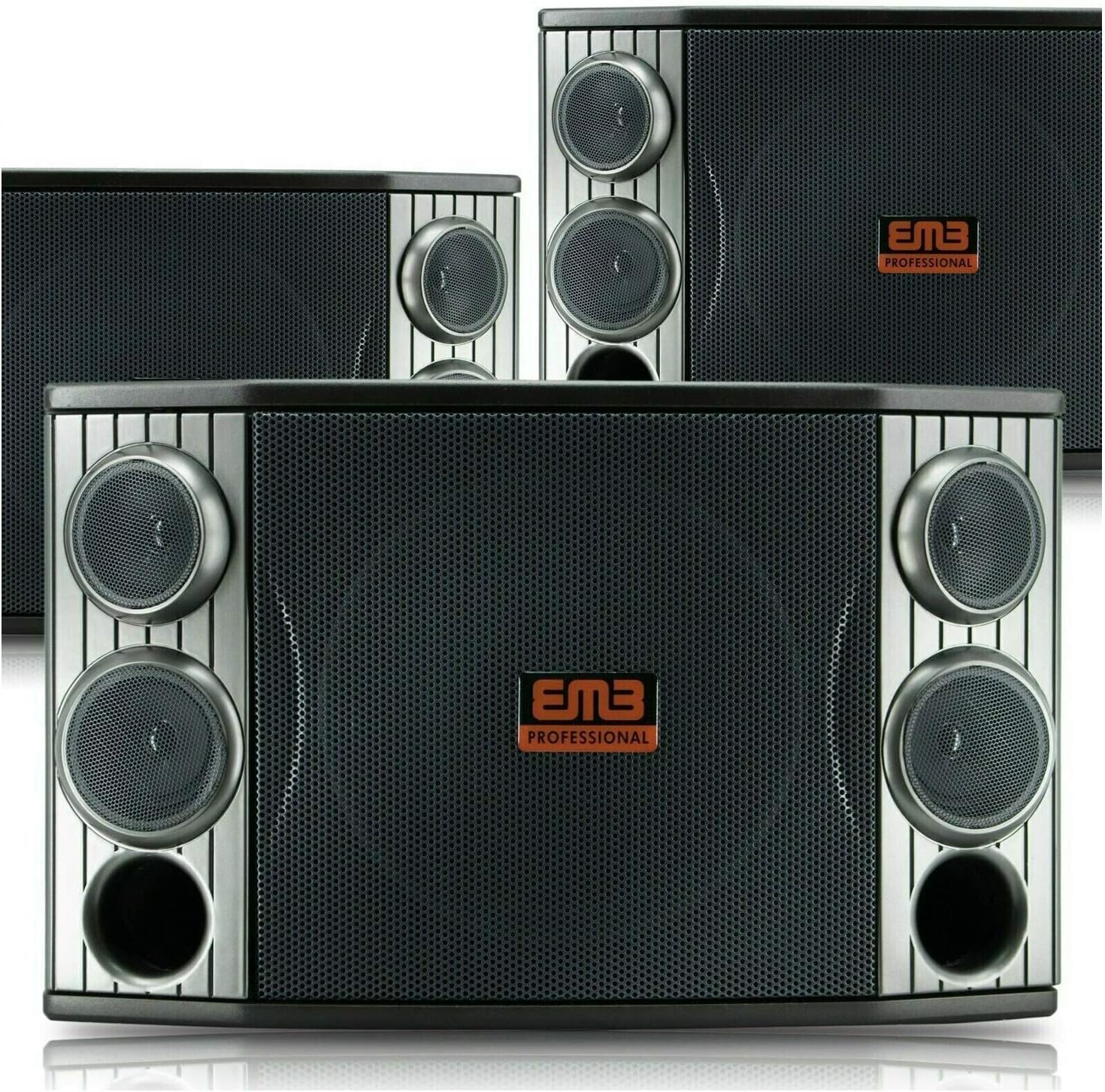 EMB KTV800 800W 10in 3-Way Karaoke Speaker with Bass Reflex