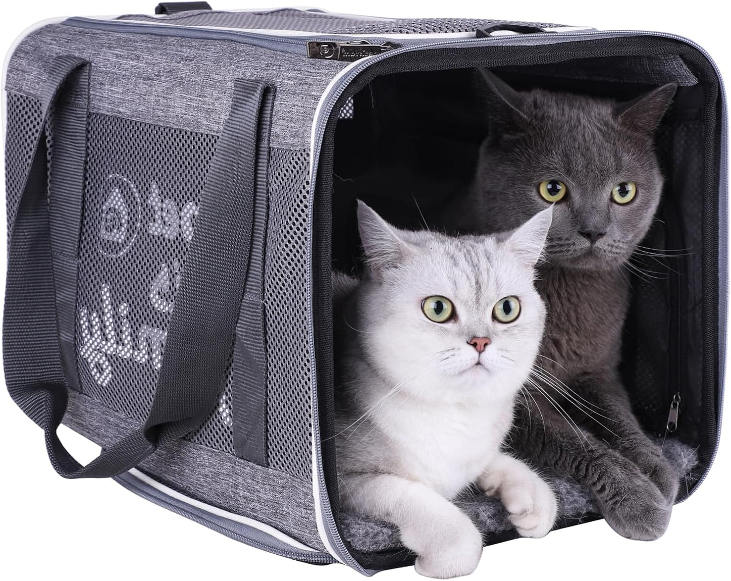 Large Cat Carrier with Privacy Flaps for Nervous Cats