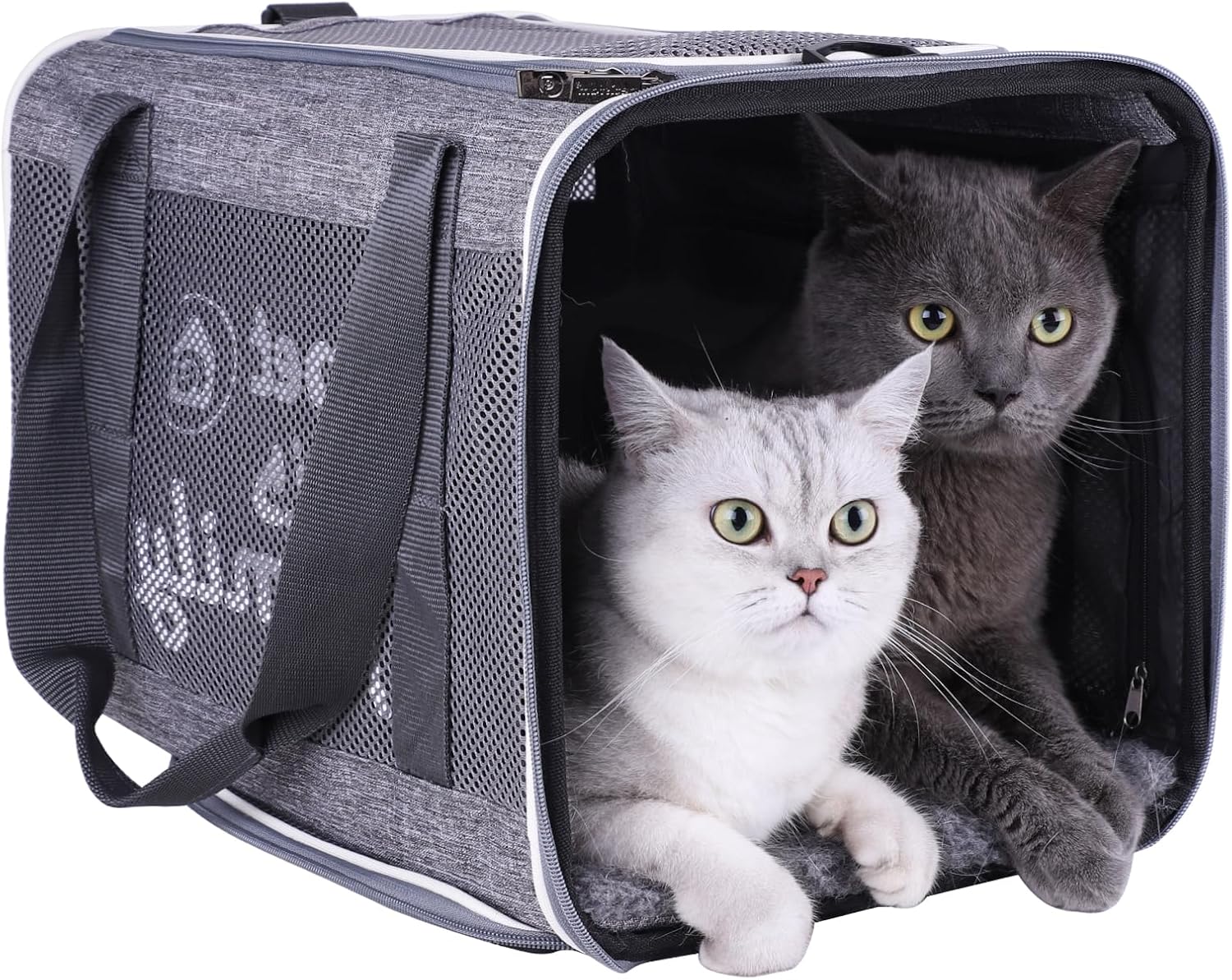 Large Cat Carrier with Privacy Flaps for Nervous Cats