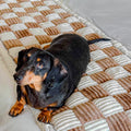 Cattasaurus Washable Couch Cover for 3 Cushion Sofa - Deep Coffee