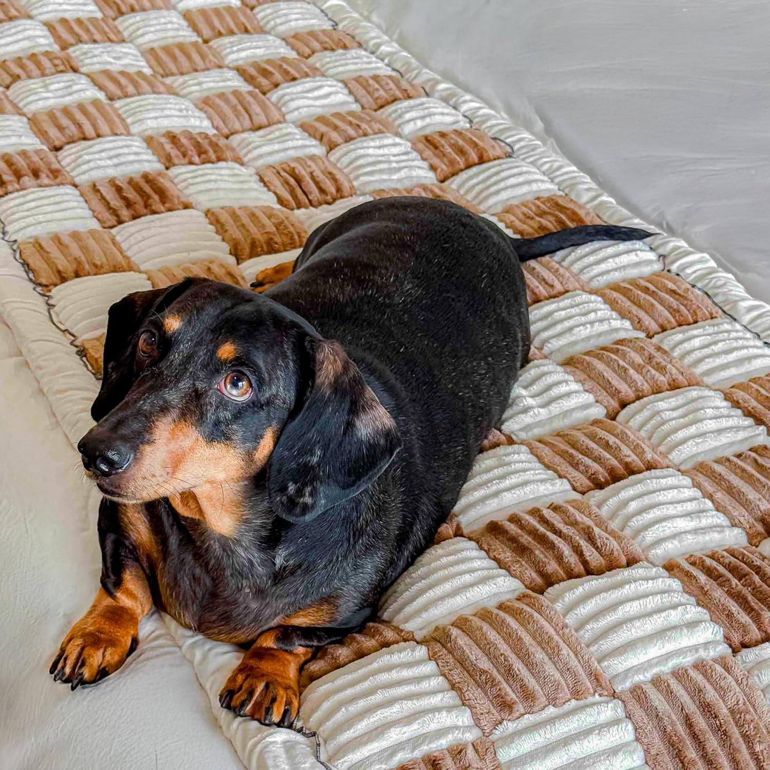 Cattasaurus Washable Couch Covers for 3 Cushion Sofa Pets