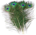 Peacock Feathers 100 pcs 16-18 in Bulk - Natural Craft Feathers
