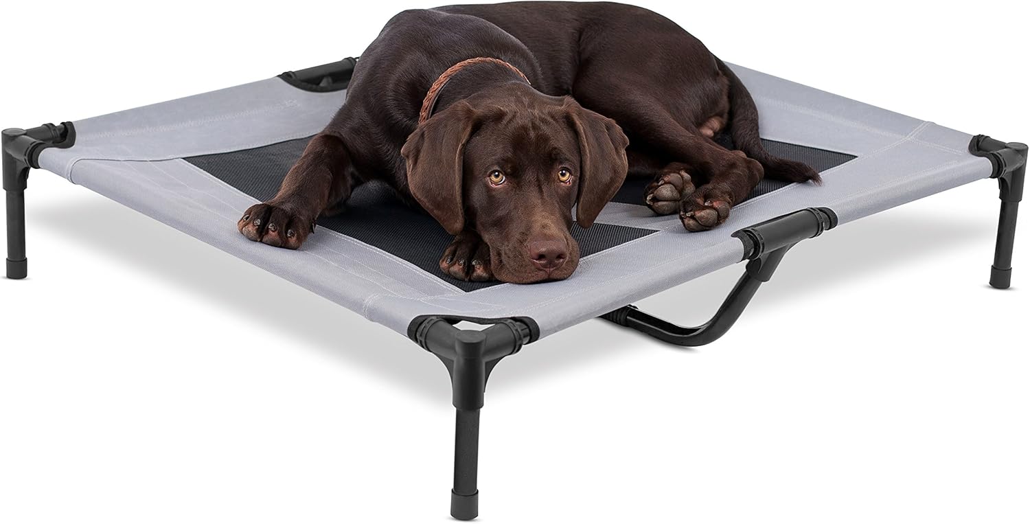 Elevated Dog Bed for Medium Dogs | Cool Breathable Mesh Design