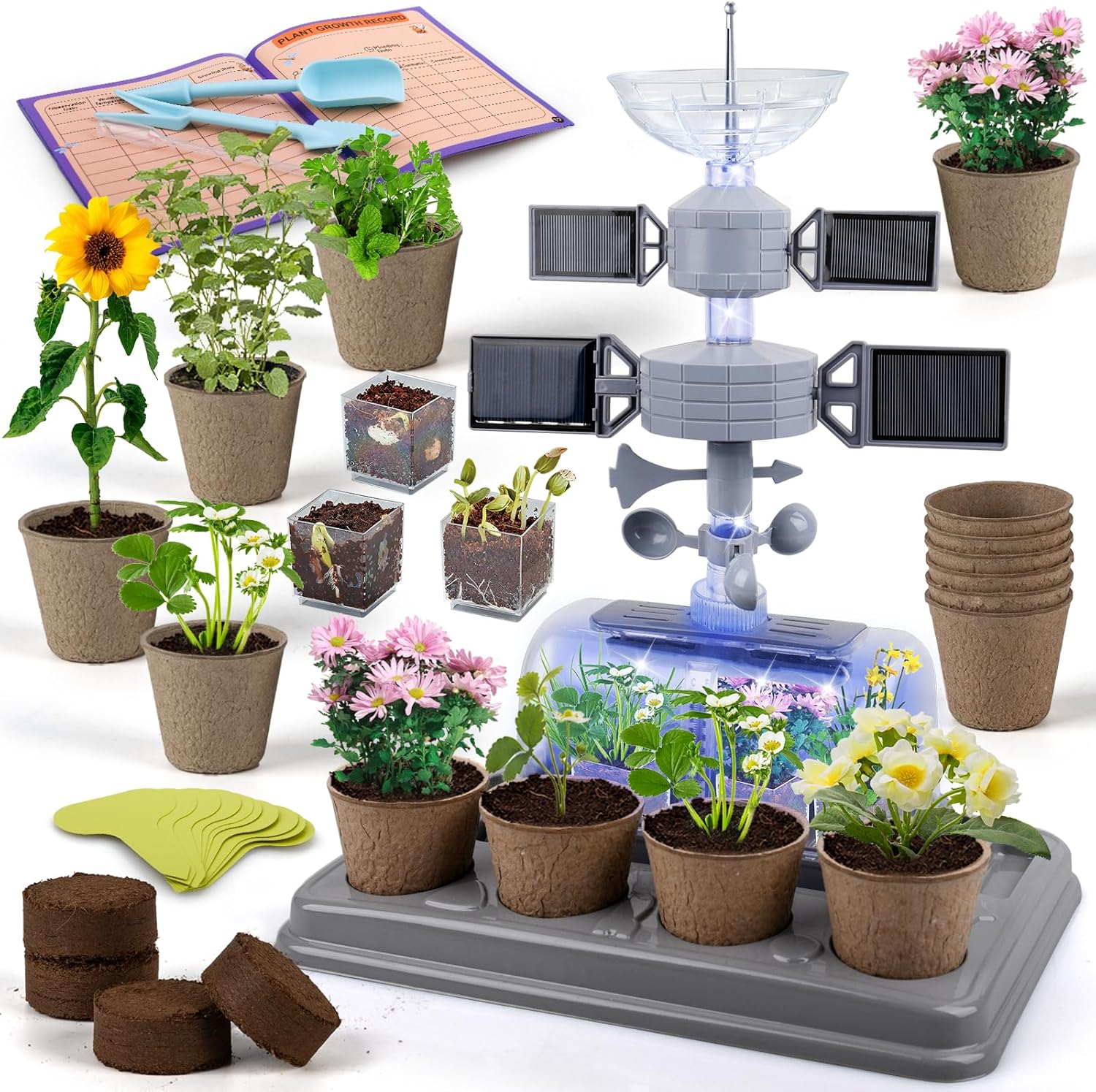 Kids Plant Growing Kit - Fun Greenhouse Experience for Children