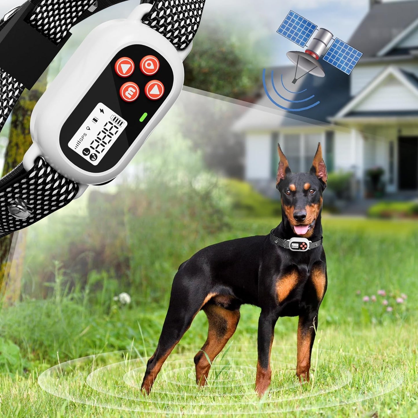 FuzzyPaw: Wireless Dog Fence for Safe Outdoor Play