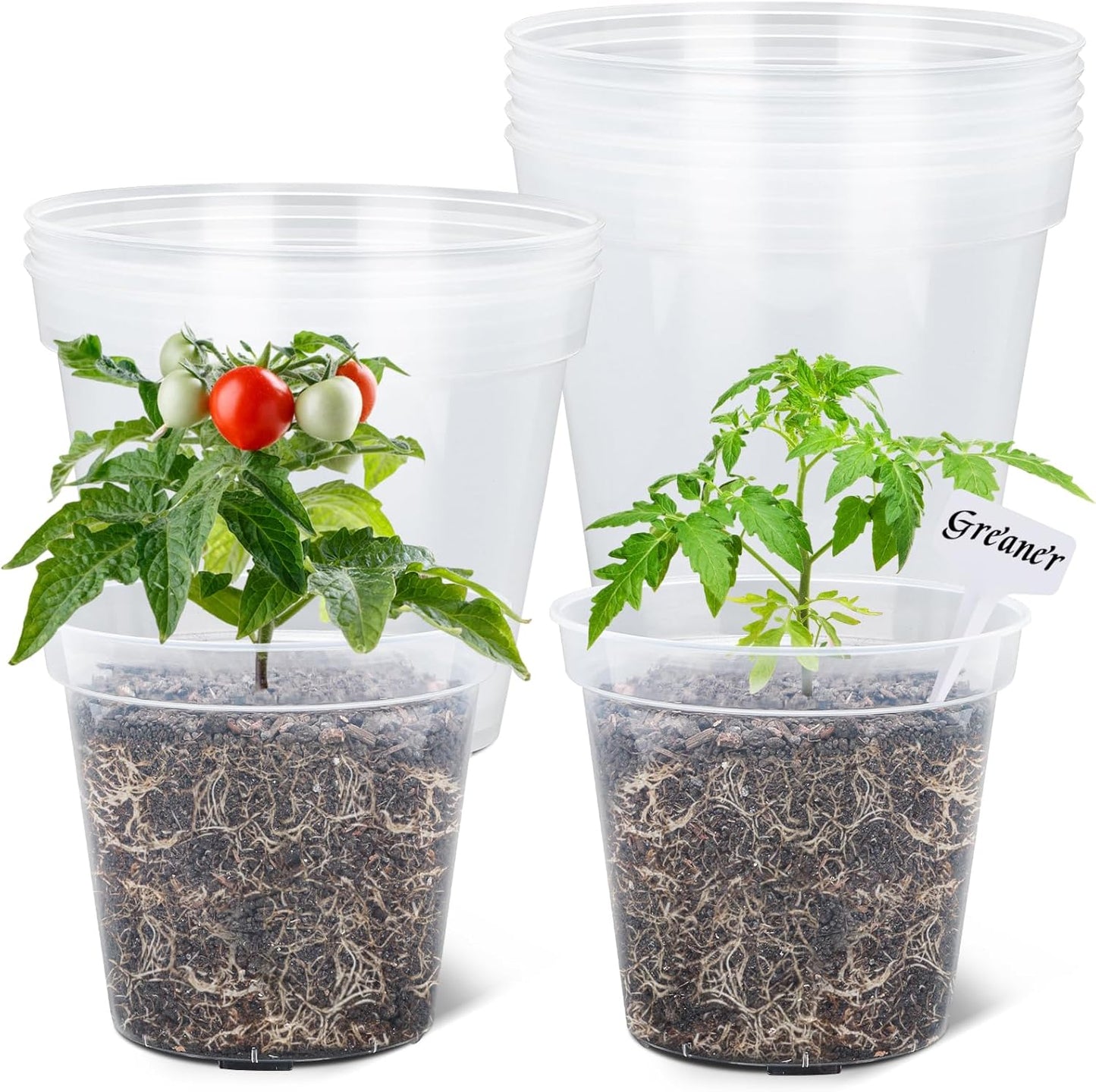 8 Inch Plant Pots - Clear Nursery Pots for Seedlings and Plants
