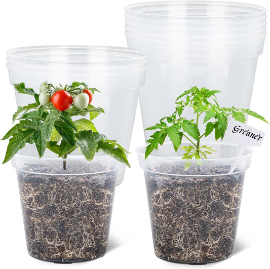 8 Inch Plant Pots - Clear Nursery Pots for Seedlings and Plants