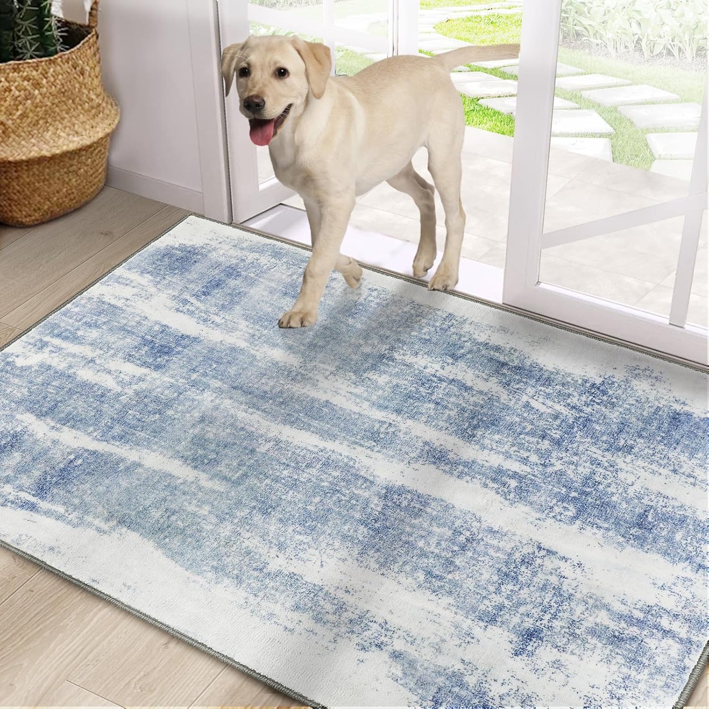 Cristgee Door Mat - Ultra Soft Non-Slip Indoor Rug for Entryway
