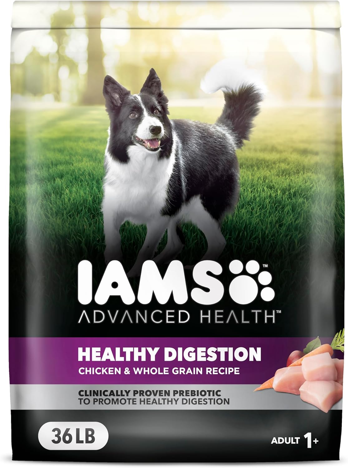 IAMS Advanced Health Healthy Digestion Dry Dog Food for Adults