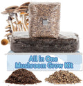 Surfin' Spores All-in-One Mushroom Grow Kit for Home Cultivation