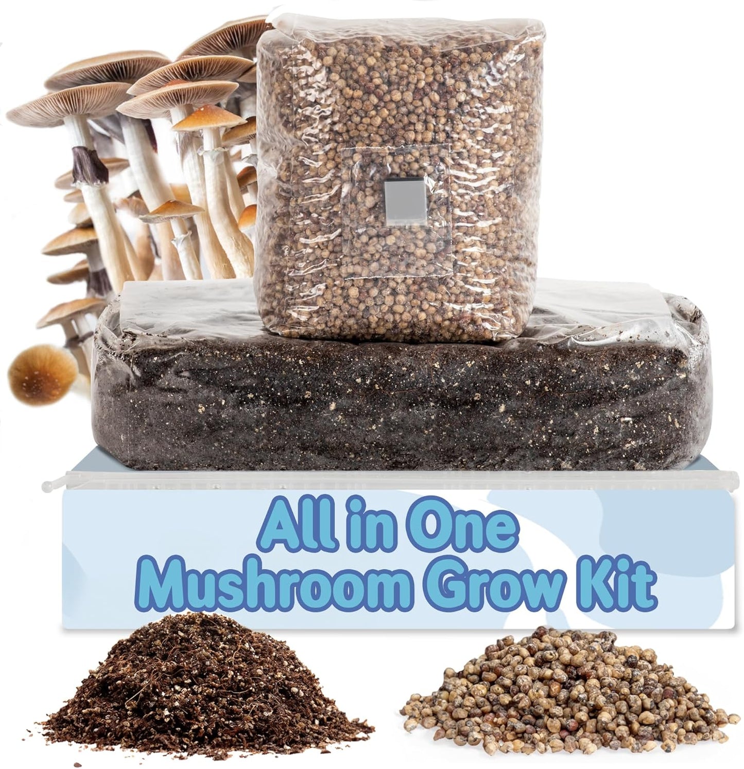 Surfin' Spores All-in-One Mushroom Grow Kit for Home Cultivation