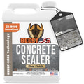 Concrete Sealer 9500 Ready to Use 1 Gallon - Penetrating Protection