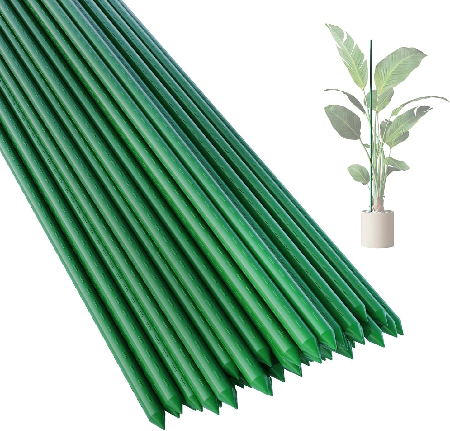 48 Inch Plant Support Stakes for Climbing Plants and Vegetables