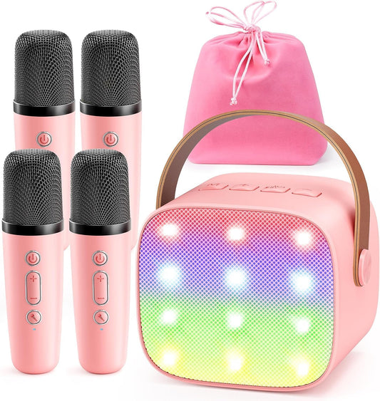Portable Karaoke Fun: YLL Mini Speaker Set
